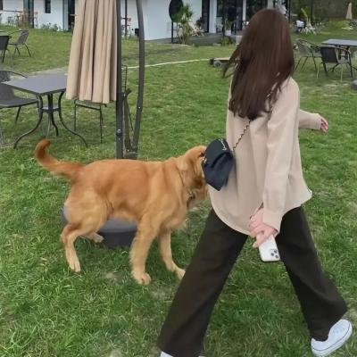 舱一代